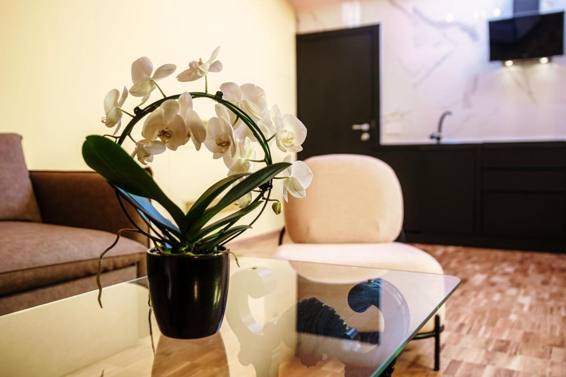 Aurum - Como Luxury Suites Rom bilde